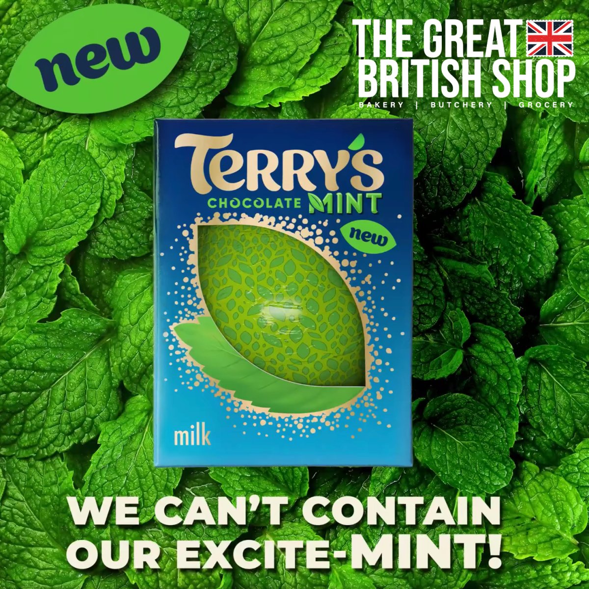 Terry's Chocolate Mint! — The Great British Shop